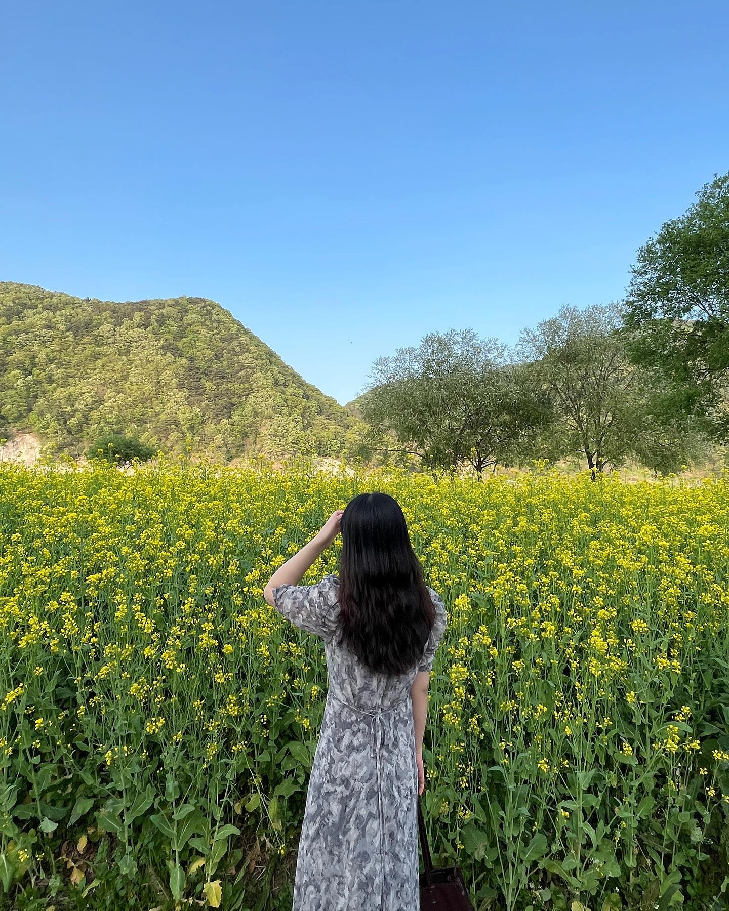 푸헤헿🌼💛😎
#옥천 #유채꽃