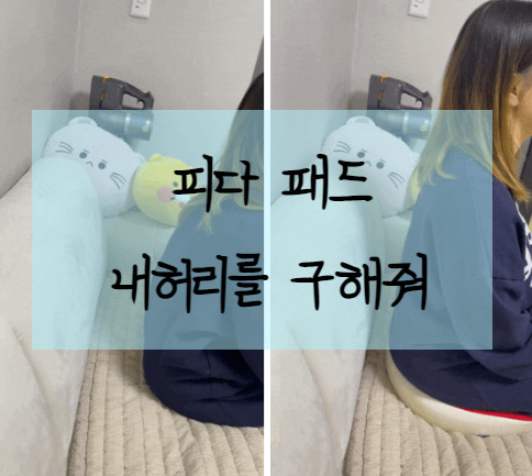 피다 패드, 내 허리를 구해줘 :: 자세교정방석, 기능성방석, 꼬리뼈, 엉덩이, 수험생 방석 쿠션