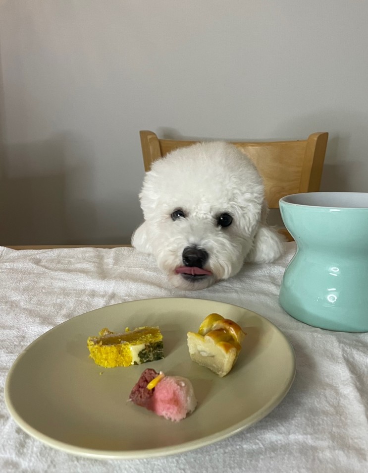 강아지간식 반려견베이커리 전문점 :: 워너도그 Wannadog