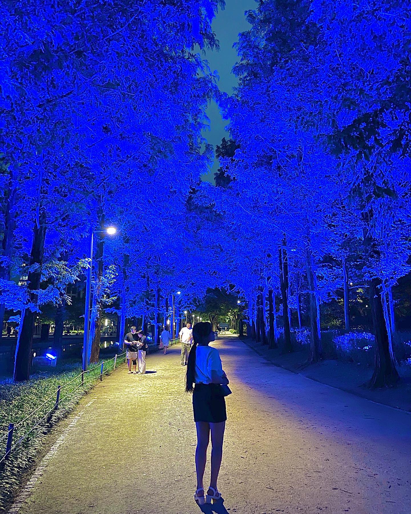 밤에 본 서울 숲 참 예쁘네요✨💙
전 낮에만 가서 몰랐는데 나무가 파란색이에요…🥺