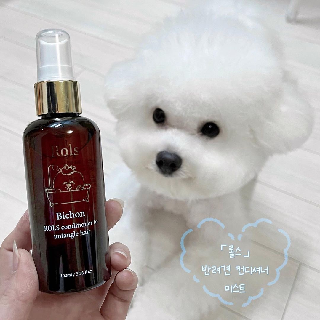 새 롬 on Instagram: “#협찬 𝖷 @bnbcos ⠀ ⌜롤스⌟ 반려견 컨디셔너 미스트 ⠀ 🤍 자연유래 성분으로 순하고 안전하게 🤍 매일 빗질이 필요한 비숑에게 필수템! 🤍 피모에 영양과 윤기를 주