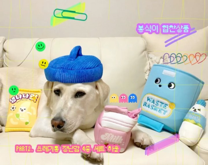 봉식이 (Bongsik ♂) on Instagram: “#상품협찬 #눈치상회 봉식이가 첫 협찬제품을<눈치상회>에서 제공받아 소개를 하게 되었어요😁 🔺<눈치상회>에서 이번에 쓰레기통 컨셉의 너무