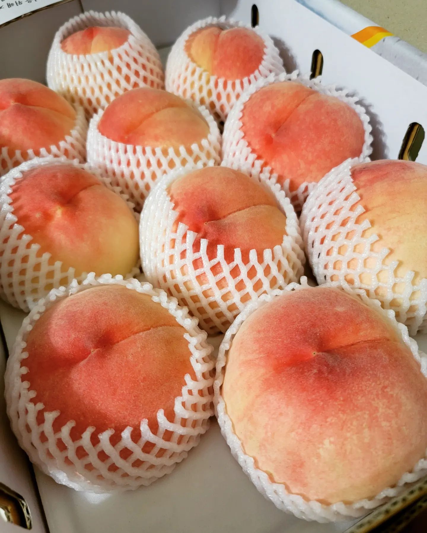 친정엄마가 보내주신 백도복숭아입니다🍑🍑🍑
정말 색도 넘넘 이쁘구요.
복숭아 자체가 넘 이쁜아이들로만 담겨있네요🤩
거짓말 조금 넣어서 막둥이 아들 얼굴만하더라구요.😅
당도도 놓아서 정말 넘넘 맛나게 먹고있어요😋
친정엄마가 최고상품으로 2박스나 보내주셔서 아이들과 넘 맛난 복숭아를 배가 터지게 먹고있네요😅
운동도해야하는데 손과 입을 멈출수가 없어 웃픈 사람입니다🤗🤗
여름 과일은 모두 친정에서 보내주셔서 원 없이 먹어 기쁜 1인..
엄마사랑해용❤️❤️❤️
