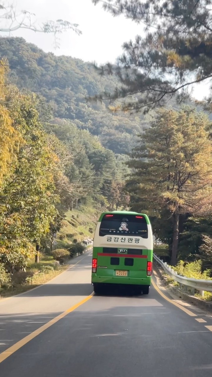 콘텐츠
