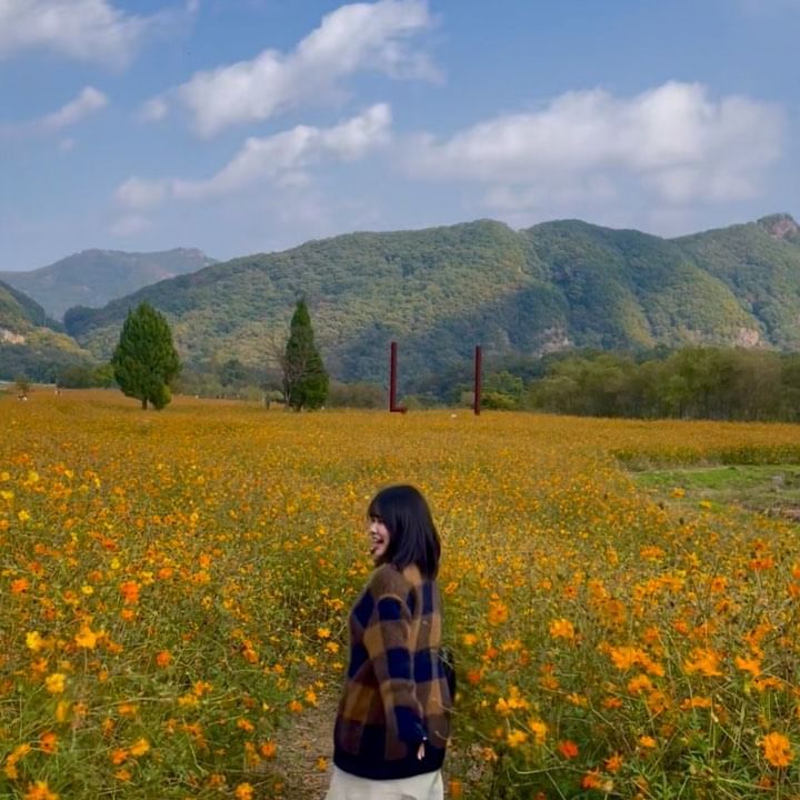 가을이 왔다가 가버렸습니당 ~ 🍂🍁