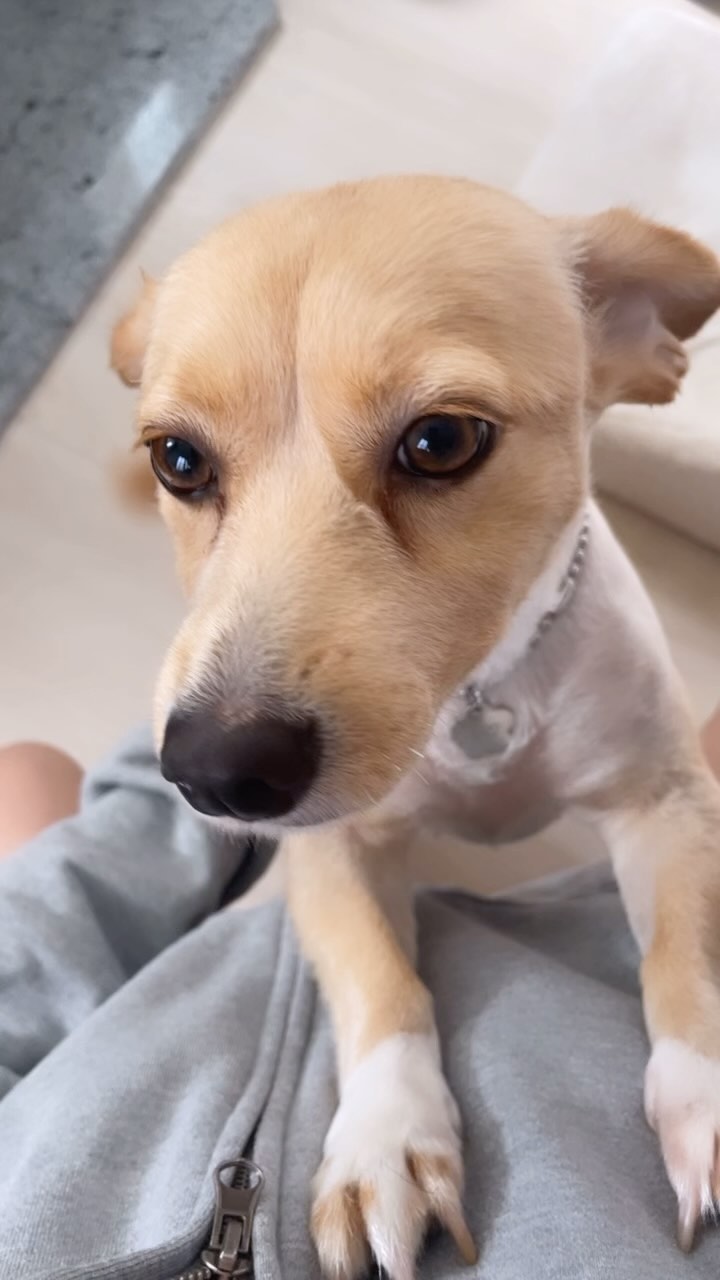 추석에 찍어놓은 콩이.. ㅠㅠ 너뮤 보고싶다