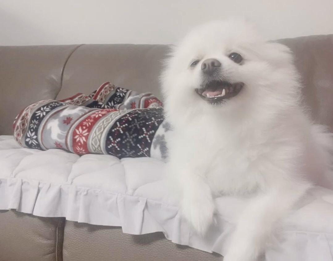 #사랑해_김카케 🐶🫶🏻