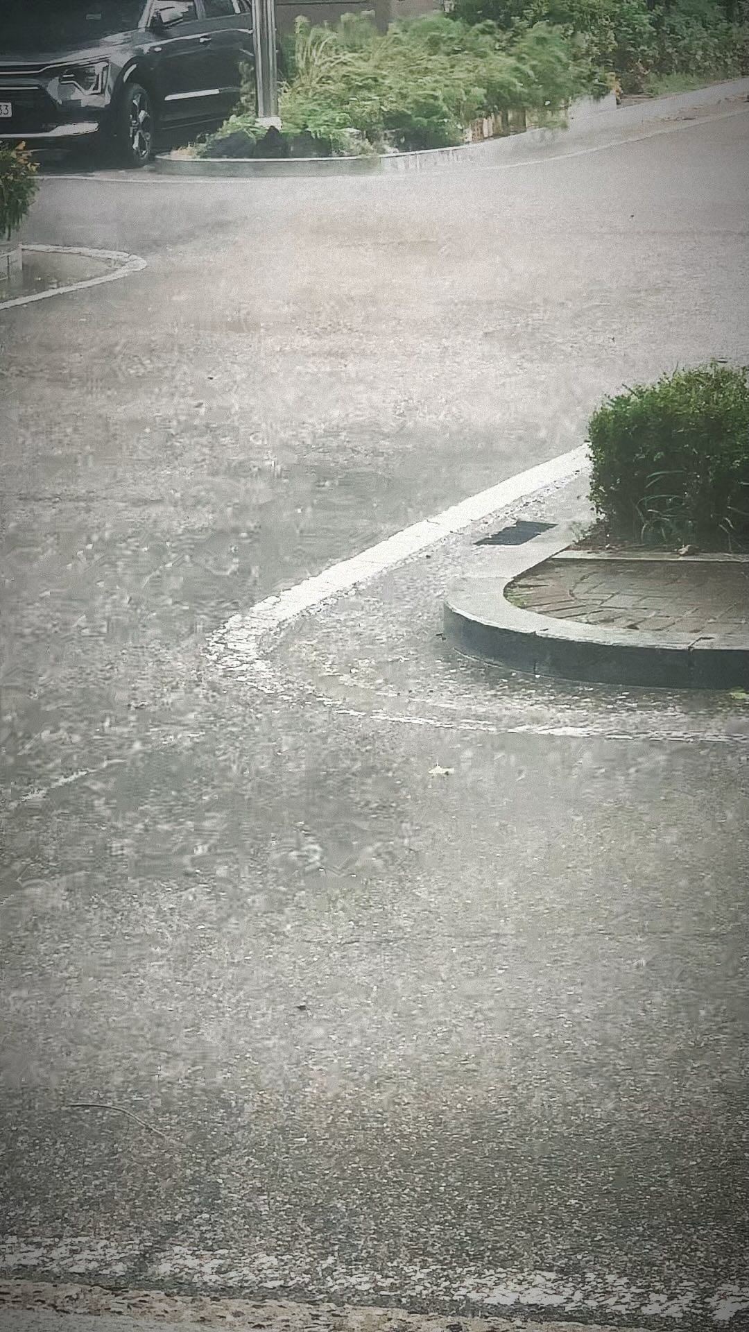 아들이랑 산책나왔다가 낭만배 탑승⛵️
아들 머리지켜줄라고 모자주고
나는 물미역얻음… ☔;;;️괴웃김
#아들 #낭만배 #물미역