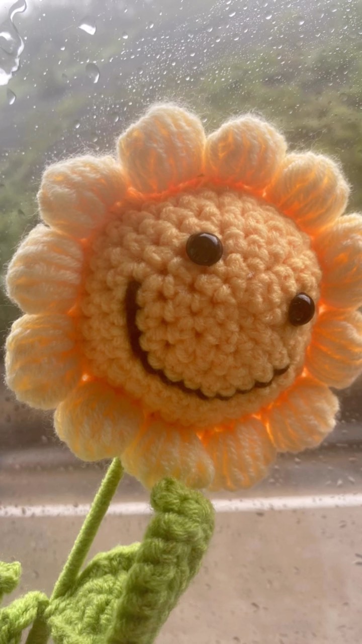 폭우를 뚫고 간 보람이 있었다

#강주해바라기축제 #sunflower