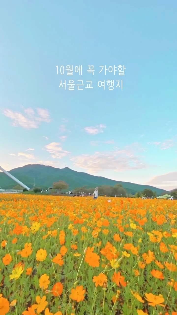 10월에 꼭 가야할 서울근교 여행지
⠀
엄청난 부지에
끝도 없이 펼쳐지는 황화코스모스 군락지
황금빛으로 빛나는 코스모스와
아름다운 노을, 강, 산들바람을 만날 수 있는 곳
⠀
📍남양주 물의정원
입장료 : 무료
황화코스모스, 핑크 코스모스 둘 다 즐길 수 있어요
오후부터 해질녘까지 타임을 추천드립니다.
⠀
* 10월초 촬영이므로 실시간 상황을 확인 후 방문을 추천드려요.
⠀
⠀
#프로여행러뷰_국내여행 #물의정원 #황화코스모스