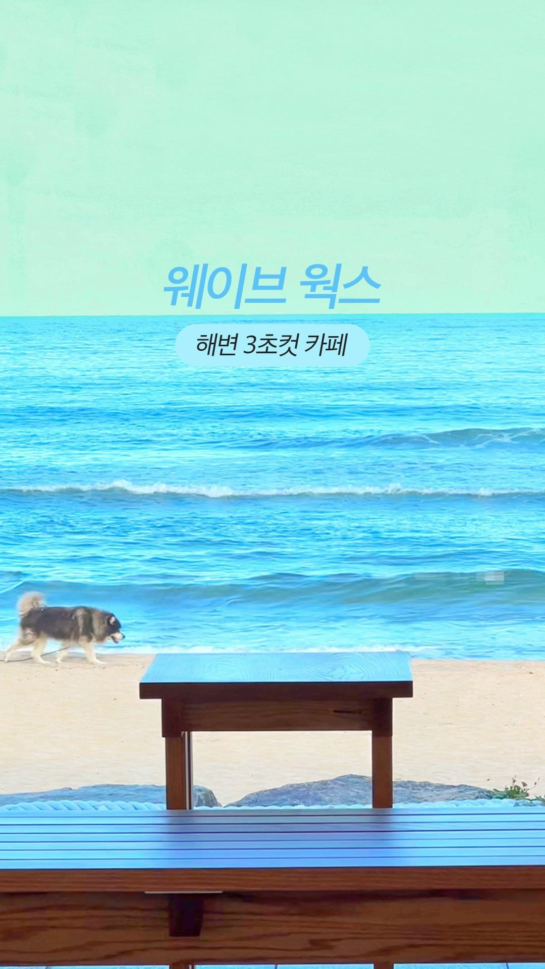 바다 3초컷 오션뷰 1열 카페 🌊
⠀
가을, 겨울바다 좋아하시는 분들 많으시죠?
바다는 한없이 보고 싶은데 추워서 망설이시는 분들
이제 따스하게 바다멍하기. 양양 죽도해변에서는 가능하답니다.
⠀
죽도해수욕장에 바다 3초컷 오션뷰 1열 카페가 생겼어요!
워케이션을 위해 만들어진 시설이라 바다로 출근 가능!
노트북하기 정말 좋고, 회의실도 갖추고 있답니다.
⠀
아이들부터 어른들이 읽기 좋은 책도 있고
굿즈도 구매할 수 있어요.
⠀
가을, 겨울바다 바라보며 힐링하고 싶은 분들
양양 웨이브웍스로 고고!
⠀
저는 죽도 서핑 갈 때마다 종종 방문하려구요 :D
⠀
⠀
📍웨이브웍스
강원 양양군 현남면 시변리 12-4
죽도해변 중앙에 위치
⠀
💵입장료
고고양양 앱으로 예약
종일권 8시간 / 18,000원
반일권 4시간 / 10,000원
벤치좌석 현장 구매 가능 10,000원
⠀
☕️커피 구매 가능, 텀블러 음료 섭취 가능
⠀
⠀
⠀
⠀
⠀
#양양카페 #양양워케이션 #워케이션 #죽도해변 #양양서핑 #고고양양 #오션뷰카페 
⠀