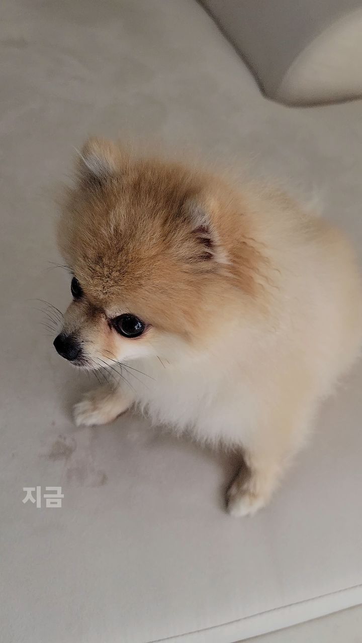 너무 간절해...간식