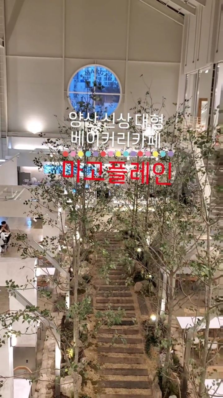 양산 물금에 새로 생긴 대형 베이커리 카페
빵종류도 다양하고 아메리카노를 3900원에 먹을수 있다니
가성비 끝판왕..

📌마고플레인

✔️경상남도 양산시 물금읍 동중3길 21
✔️22:50 라스트오더
✔️1층 주차장 3층은 노키즈존

#양산#마고플레인#신상카페#양산대형카페#카페스타그램
#베이케리카페#빵순이#아메리카노3900원
#데이트코스#예쁜카페#정원카페#포토존맛집