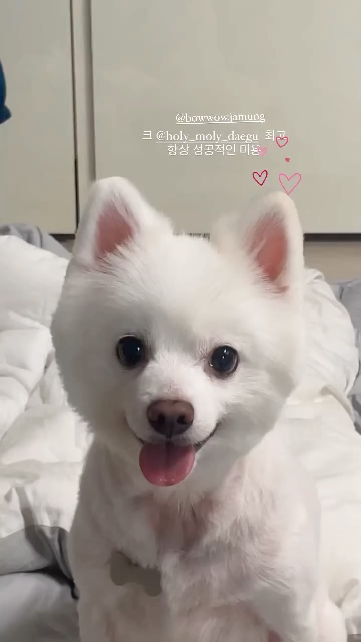 콘텐츠