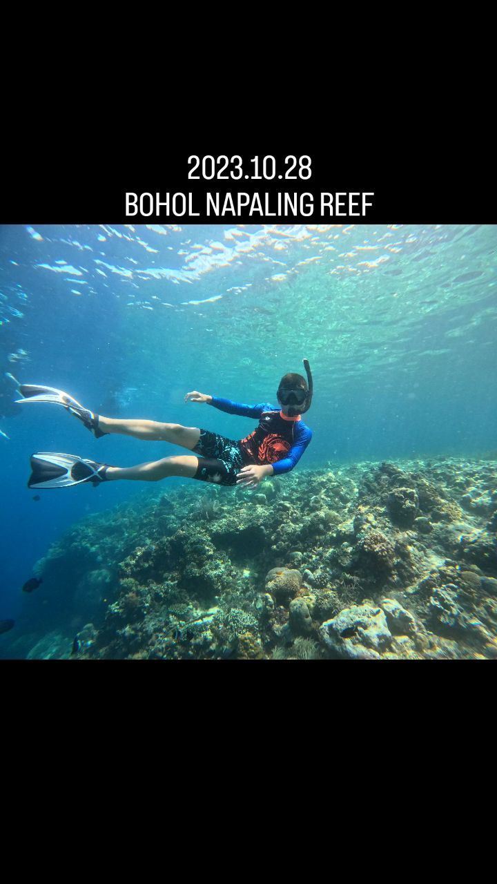 23.10.28  Bohol Napaling Reef

.
.
오늘 투어 모두 최고였다 👍 

사실 가는길에 좀 피곤해서 기대감이 별로 없었던 나팔링

역시.. 머리만 넣으면 물고기라더니

수족관에 입성한줄ㅋㅋㅋㅋ

한 시간 동안 너무 즐거웠어!!

프리다이빙 못 하는게 넘 아쉽다ㅠㅠ

나팔링 또 오자!!!
.
.
.
.
.
우리 가이드 제이슨 땡큐해!

덕분에 영상ㆍ사진 많이 건졌당ㅋ

.
.
.
.
#보홀여행
#나팔링 #나팔링스노쿨링 #보홀투어
#보홀나팔링 #보홀자유여행
#bohol #boholtour #napaling #napalingreef
#boholnapaling