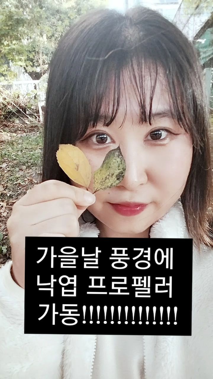 ●가을날 풍경에 낙엽 프로펠러 가동!!!!!!!!!●

지친 일과 힘든 일은 
낙엽 프로펠러에 
가득 담아서~~훌훌
날려보내고자 하는
 바램을 가지고~~
 이렇게 낙엽을 가동해봤어요!

사람이 우울하거나
 힘든 것은 당연한 것이 아니며,

당연시 되어서도 안된다는 생각을 
오늘 독서토론을 하면서 하게 되었습니다!^^

감정이 우울하고 힘든 것은 그것을 바라보는
태도를 바꾸면 그 상황에서 새롭게 보이기 시작하는 면이 생긴다는 점에 대한 시각을 가지게 되었습니다.

남을 바꾸려 하지 말고 
그 상황에서의 내 태도를 
바꿔보자는 생각은 

이 시점에서 저에게 
큰 메리트가 되며 
삶의 마음의 평화를
주는 그런 시각을 주는
변주곡이 될 것 같습니다.

#일상 #메리트 #평화 #시각 #태도 #삶 #생각 #표현 #독서 #오늘 #마음 #위로 #삶의태도 #현재 #thnik #daily