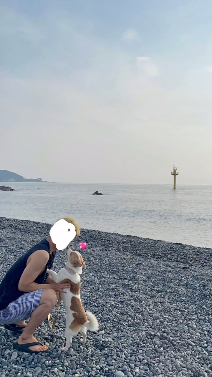나 데리고 다니느라 고생이 많다 진차,,,🥲