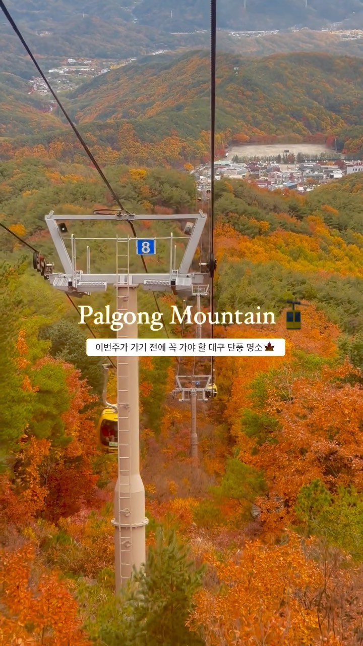 🍁🚡이번주에 꼭 가야 할 대구 단풍명소
시원하게 탁-트인 단풍 보며 힐링할 수 있는 곳!
지금 가야 알록달록 절정을 볼 수 있음..🤎

📍팔공산케이블카
(대구 동구 팔공산로185길 51)
⏰ 9:30 - 17:10

▫️대인 1인 왕복 13,000/ 편도 10,000
▫️소인 1인 왕복 7,000 / 편도 5,000

#대구단풍명소 #대구팔공산 #팔공산단풍 #대구가을명소 
#대구가볼만한곳 #대구데이트코스 #팔공산 #팔공산단풍축제 
#단풍명소 #단풍여행 #대구동구 #대구데이트코스추천 #팔공산케이블카
