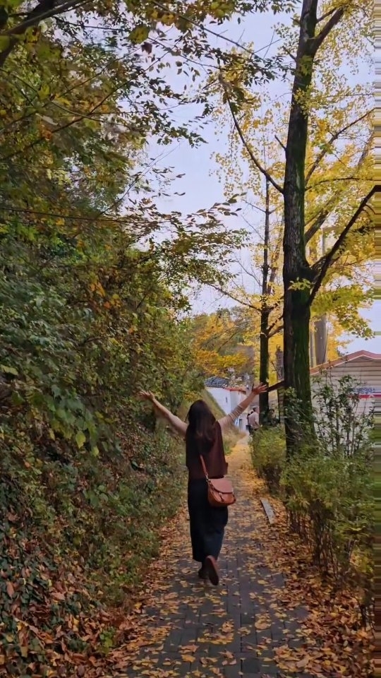 #전주여행 
번화한곳을 벗어나니
은행잎비가 내린곳 발견 
온통 노랑노랑

#가을이간다 🍂🍁 
#2023년11월가을
#atummn #秋