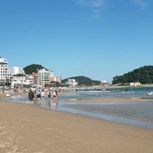 콘텐츠