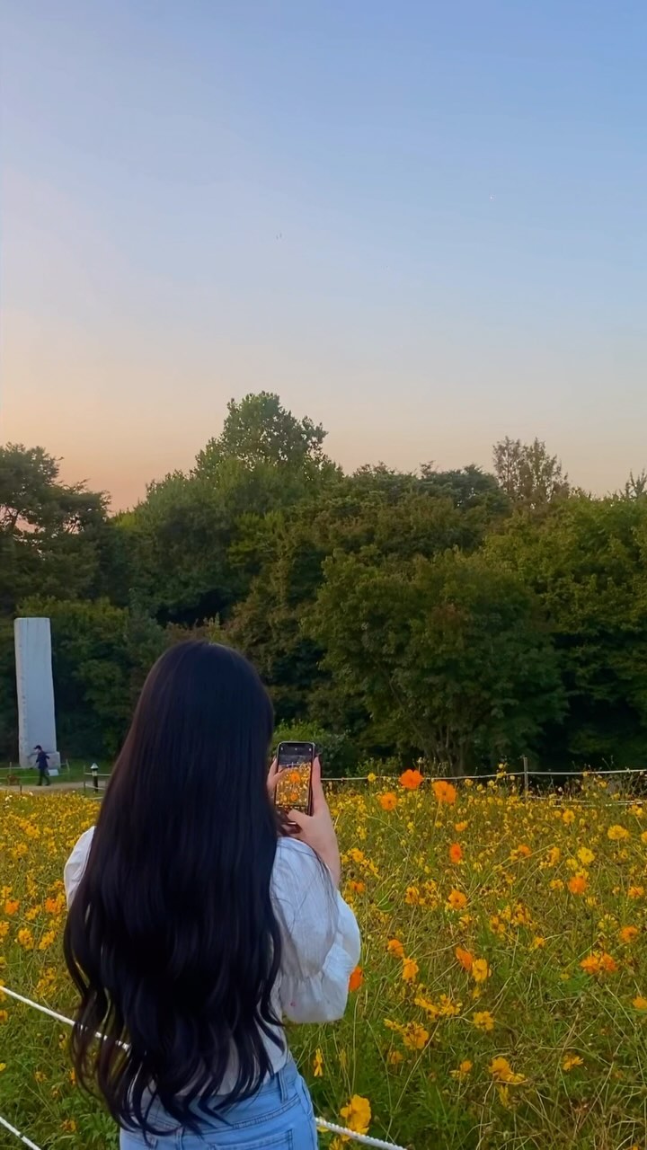 영상이 너무 아까워서 이렇게라도..
가을이 완전 끝나기 전에..🌼
.
.
.
.
.
#올림픽공원 #올림픽공원들꽃마루🌼 
#reelsinsta #reels #릴스초보 #릴스타그램 
#07 #01년생 #01 #좋아요반사테러