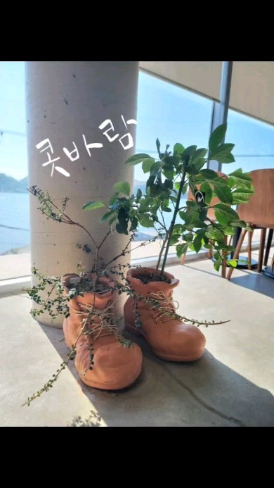 아이들 오기 전에 아들맘과 콧바람 좀 쐬고 왔어요.
바다가 보이는 통창이 시원하고 좋네요.
주차도 편하고

커피랑 베이커리도 맛있었어요.

시원한 뷰 카페 원하시는 분들
한번 다녀오세요.😋

#아들맘 #호끼린로스터리 #바다뷰카페 #엄마는충전이필요해