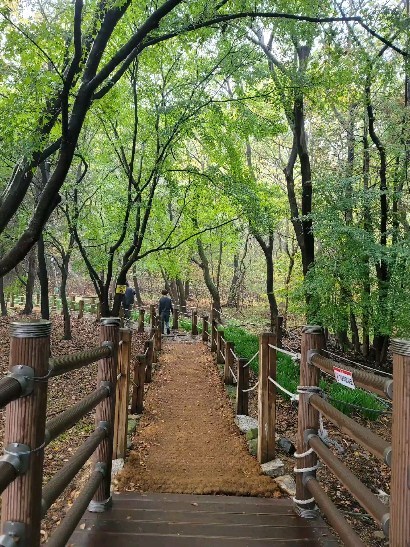 많이 걸어야 건강해진다.
비 온 뒤 촉촉해진 생태공원 걷기👣
주말이라 사람들이 제법 많았다.
오늘밤은 꿀잠 잘 수 있겠지.😘

#아들맘의일상 #산책 #걷기운동 #생태공원걷기