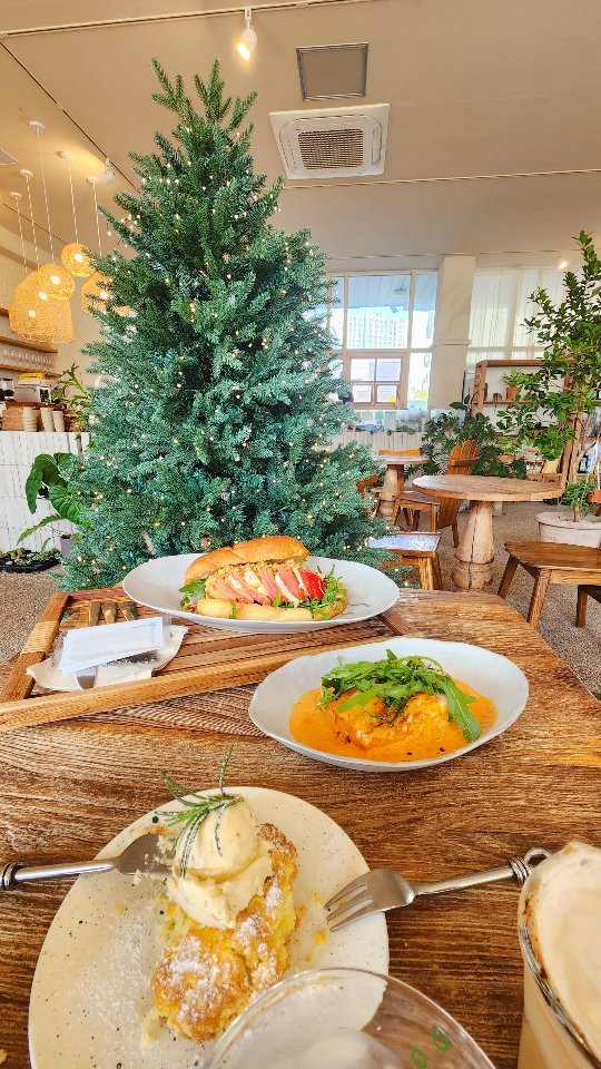 벌써 크리스마스 시즌🎄 
@woorihari 언니랑 브런치데이트 💗
동네에 예쁜 카페가 많아서 너무 좋앙 
.
따사로운 햇살 가득한
작은 식물원같은 카페 🍃🪴🌿
@cafe_soowoo 
.
.
.
.
#사과브리치즈샌드위치 
#라자냐
#무화과치즈스콘
#흑임자라떼 
#크림라떼
.
.
.
.
#망월동디저트맛집 #미사브런치맛집 #미사브런치 #미사데이트 #미사식물원 #미사예쁜카페