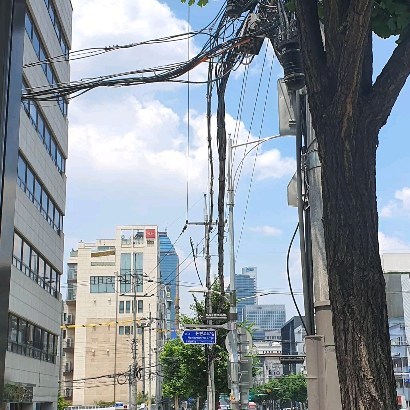 콘텐츠