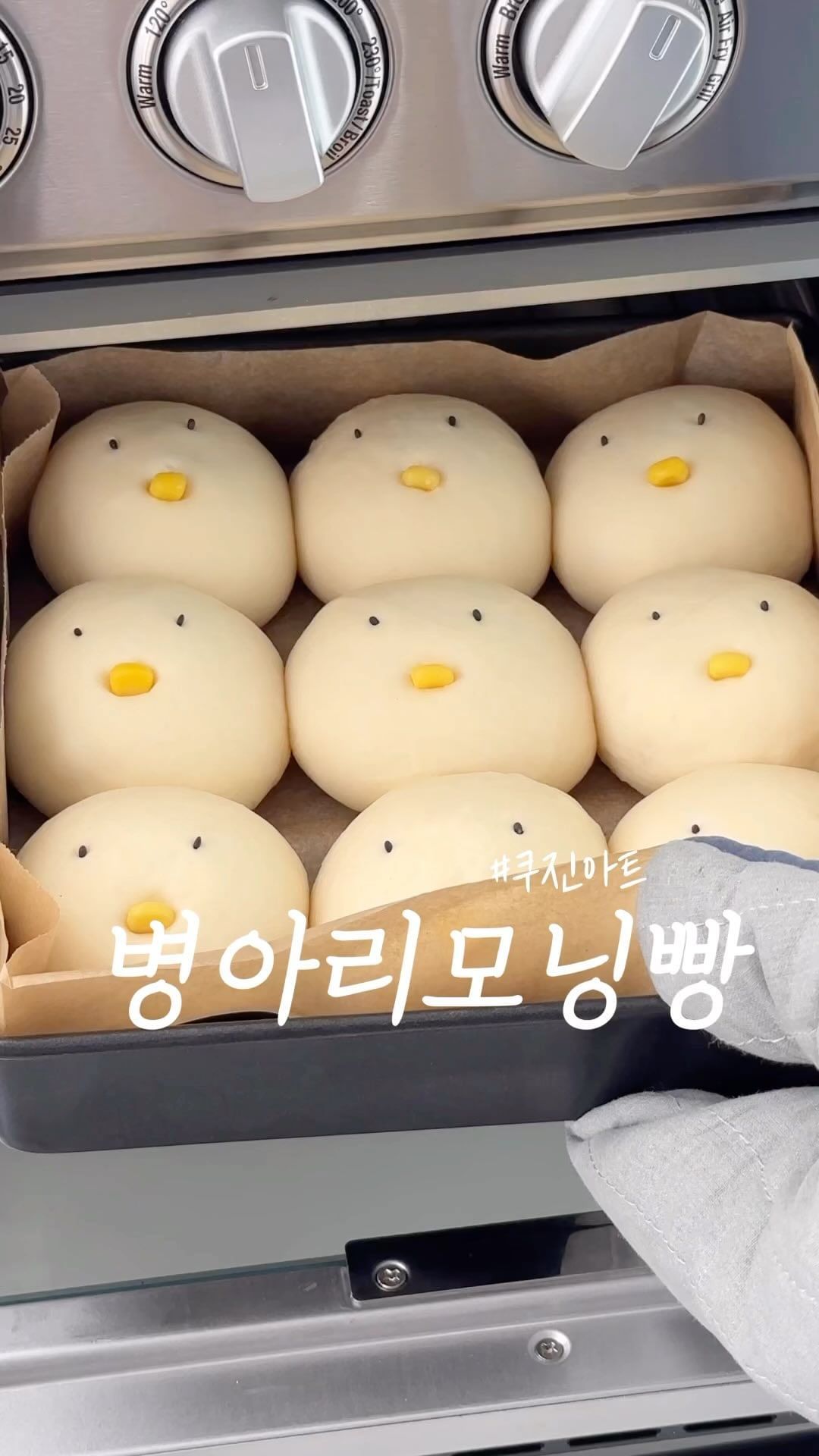 #쿠진아트서포터즈 귀여운 병아리모닝빵 만들기
(feat.쿠진아트 5.2L 반죽기)

<준비재료>👩‍🍳
강력분250g,스위트너30g(설탕대체),소금5g,드라이이스트5g,미지근한 귀리우유160ml,무염버터40g,스위트콘+검은깨

-정사각2호팬 기준-
요즘처럼 추을때에는 미지근한 35도정도의 우유에 드라이이스트를 미리 풀어두셔도 좋아요(생략가능)

반죽기 없으신 분들은 손으로 반죽 가능합니닷~
1.버터를 뺀 가루류와 우유를 넣고 1단 저속으로 반죽
2.가루없이 반죽이 뭉쳐지면 버터를 넣고 2단으로 반죽
3.버터가 섞이면 5단으로 속도를 높여 7분간 반죽
4.반죽을 손으로 늘려보았을때 투명하게 비춰지면 꺼내서 손으로 1분간 더 반죽
5.볼에 반죽을 넣어 랩핑후 따뜻한 곳에서 2배이상 부풀도록 50분간 1차 발효
6.1차발효된 반죽을 54g 정도씩 9등분
7.둥글리기 후 랩핑해서 10분간 2차 발효
8.2차발효후 틀에 종이호일을 깔고 가볍게 둥글리기후 넣어준후,
9.랩핑해서 따뜻한곳에 40분간 3차발효
(3차 발효후 눈,입 만들기전에 180도로 10분간 오븐예열)
10.완성된 반죽에 콘으로 입을 검은깨로 눈을 만들어준다
11.예열된 오븐은 150도로 낮추고 20분 구워준다.

진짜 너무 귀여운 병아리모닝빵.
제가 만들었지만 비쥬얼은 물론이고 너무 맛있는 레시피에요.
버터향 솔솔~ 나고 뜨거울때 먹으면 결대로 찢어져 잼도 필요 없는 맛.

✅쿠진아트 5.2L 반죽기는 화이트 컬러라 주방에서도 빛을 발하는 외모에
대용량 손잡이 믹싱볼로 다량의 반죽을 하기에도 어려움이 없어요.

✅간편하게 다이얼로 스피드를 조절하며,
3가지 믹싱툴로 휘핑,믹싱,치대기 모두 완벽하게 가능해요.

반죽기 덕분에 큰 힘 들이지 않고 10분이내에 반죽도 쉽게 끝냈어요~

그럼 귀여운 병아리모닝빵 맛있게 만들어 드세요~

쿠진아트 5.2L 반죽기👉 @cuisinartkorea 
.
.
#홈베이킹 #병아리모닝빵 #쿠진아트 #쿠진아트반죽기 #SM50KR #baking