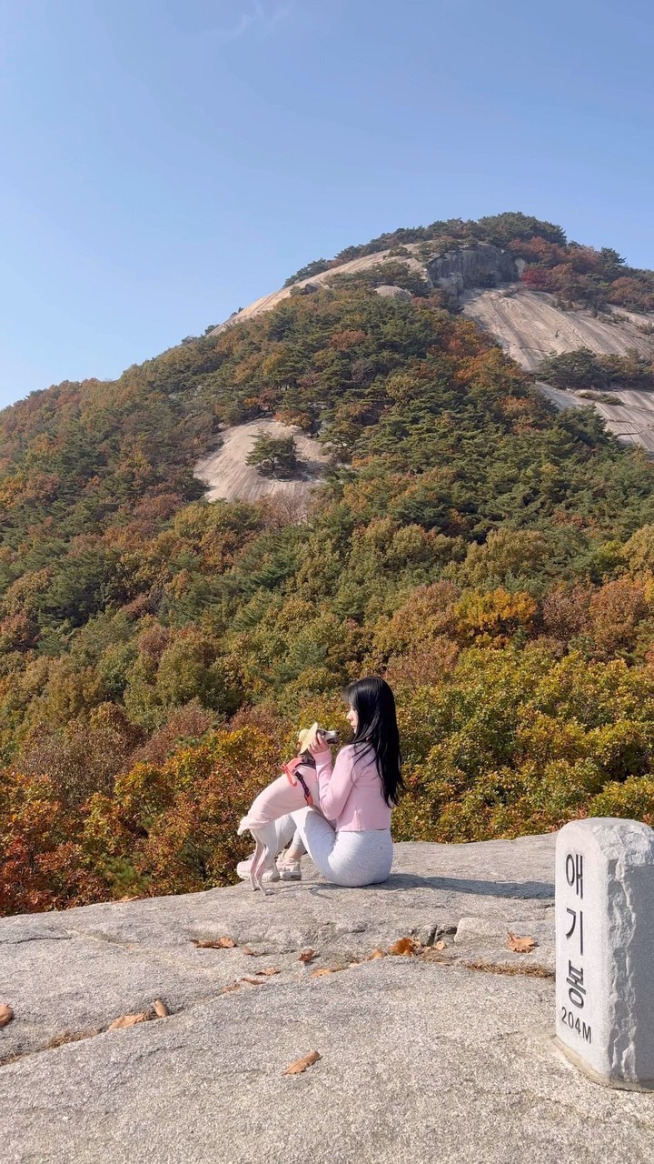 가을하늘 너모예뽀🐶🍂⛰️🍁🧡