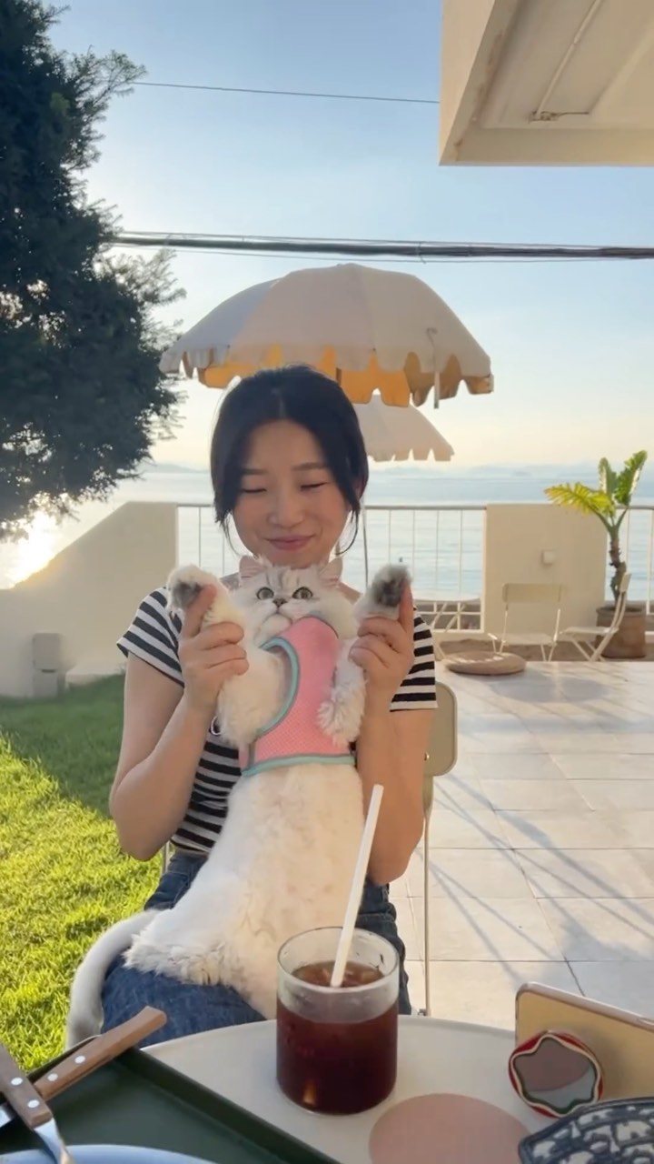 애묘동반(?) 최애 카페

#가덕도
#브리타니카페