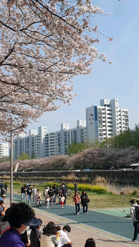 콘텐츠
