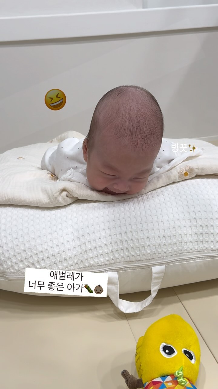 66일차, 취향이라는게 생긴 아가😆

#국민#라마즈애벌레#터미타임#🐛
