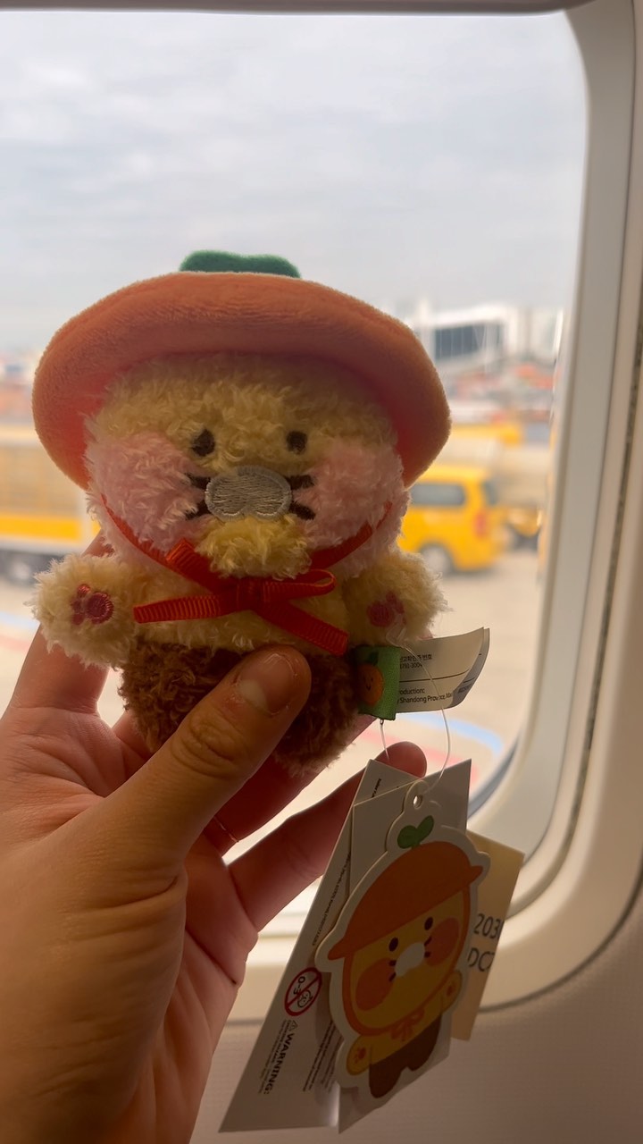 인생견생 첫 제주도 탐방 🍊