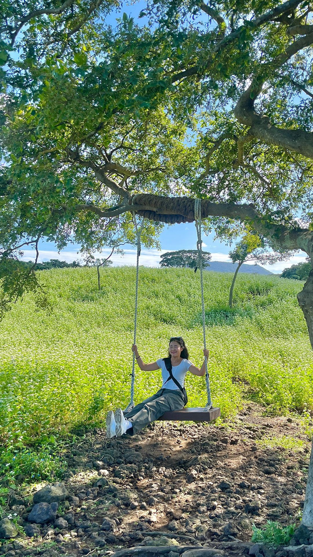 10월 제주 인생사진 뽀또스팟📸(무료)

📍조천읍와흘메밀농촌체험휴양마을
제주 제주시 조천읍 남조로 2455

10.1~10.22일까지 가을 메밀문화제
메밀 밭담길 무료개방 10:00~18:00

✔️매주 주말 메밀음식 판매
✔️ 메밀 카페 운영 및 특산품 판매

메밀 밭담길이 무료개방에
주말에 방문할 시 맛있는 메밀 음식도 맛볼 수 있구요.. 💖
뽀또존도 많구,, 메밀밭 너무 예뻐요🥹
제주 방문하시는 분들은 저장해두고 꼭 방문해서
인생사진 남겨보세유…!!!! 🙌🏼 반 제주도민 강강추 장소!
.
.
.
#10월제주도가볼만한곳 #와흘메밀마을 #와흘메밀축제 #제주도포토존
