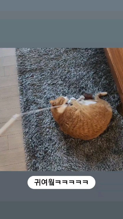 콘텐츠