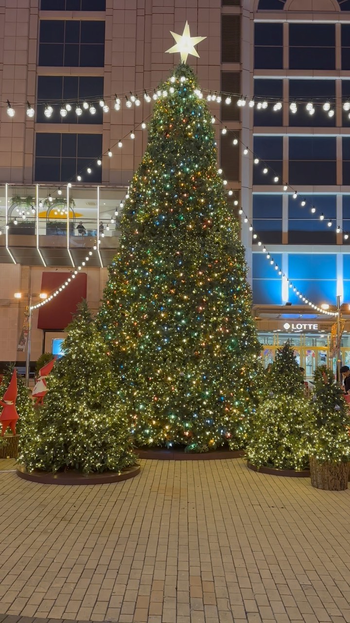 올해도 크리스마스트리 투어 🎄
신세계 시그니처 스팟덕분인지 백화점계에서 하나의 큰 문화로 자리잡고 있는듯한 크리스마스 장식들. 올해도 어느곳이 탑오브더탑일지 기대를 해보며

📍울산 롯데백화점 광장트리

#크리스마스트리#트리투어#롯데백화점#신세계#현대백화점
#크리스마스가볼만한곳#울산맘#울산여행