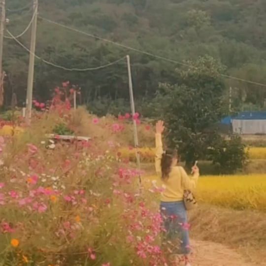 모임에 못 온 친구에게 점심 먹고 주변 산책하는데 가을모습이 너무 이뻐 보여주고싶은 마음..^^

나의 친구들...
조만간 단풍이 지기전에 또 보고싶다..

#25년지기 #내친구