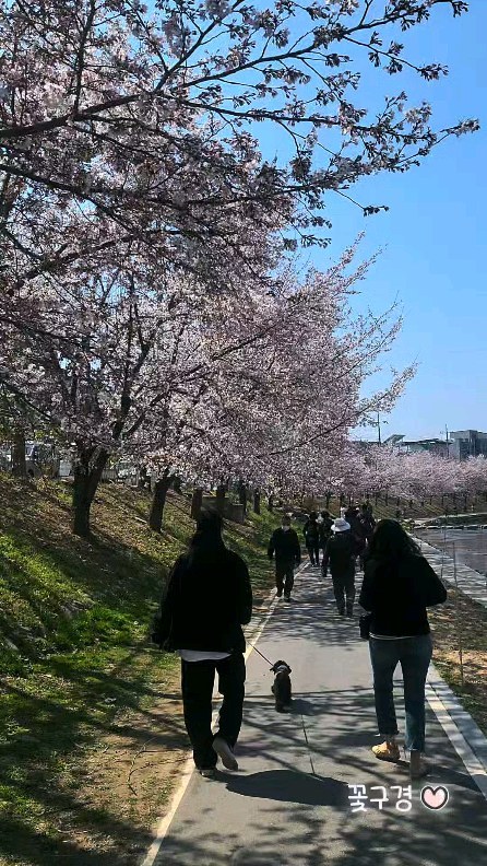 콘텐츠