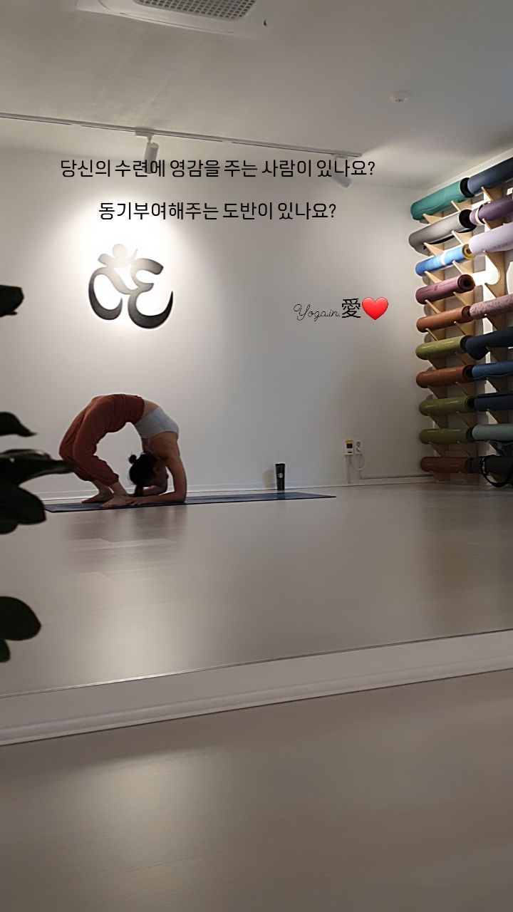 2023.11. 04. #요가인애 에서 #요가수련 

당신의 수련에 영감을 주는 도반이 있나요?

마음과 머릿속에서는 뭐든 곧! 시작인데 
몸이 안따라줄 때도 있거든요.
그 때 일으켜세워주는 이가 있습니다

그냥 항상 응원해주고 카톡으로도 전달되는
따뜻한 대화를 하고 나니..

내가 조금 더 열수련해야지. 
조금은 더 멋진 요가강사🤭가 되야지.
하는 마음이 생기게 해주더라구요

저는 영상보다는 책을 읽거나 
누군가와의 스몰토크에서 영감을 얻는 편인가봅니다.

오늘 당신의 동기부여자는 누구인가요?

#메디힐요가 신하점 현정원장님❤️
덕분에 저는 서울 #요가인애에서 셀수를~😍

서로 #요가책추천 해주고 
#요가음악 공유하고 퇴근 후 소소한 이야기로
마감하면 그렇게 행복하더라구요😊

항상 감사하고 응원합니다🙏🙇‍♀️