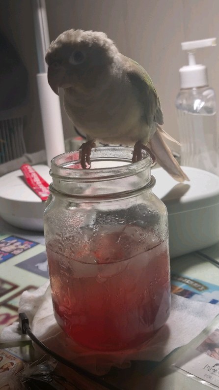 새로운 것들을 도전해보는 요즘.. 무너졌던 루틴을 바로 잡아보려고 조금씩 노력해나가고  처음 시작해보는 것도 제대로 안되더라도 일단 해보려고 한다.

해도 안되는게 이게 무슨 의미가 있을까 하고
내려놓고싶고 그만두고 싶기도 했지만

결과나 완벽을 추구하기 보단 직접 하면서 느끼는 성취감과
도전이 계속 쌓이면서 매일 성장하는 그런 모습이 더
멋진게 아니였을까 

있는 그대로의 내가 무엇을 좋아하고 꿈꾸는지 알게되는 그런 시간이 값지다!

#동기부여 #생각전환 #remind #dream #dreamer #miracle