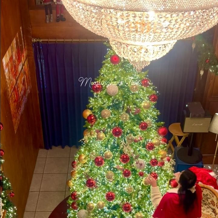 유럽 저택 분위기 + 대형트리 감성 미쳤다,,🎄
화려한 대형 샹들리에까지 크리스마스 무드 제대로 느낄수 있어요🫶🏻✨

포토존이 따로 있어서 자리 차지 안해도
찍을수 있어서 좋았던 카페😉

무궁화파이브
📍경기 성남시 분당구 동판교로52번길 9-9 지하1층 지상1층
📍매일 10:00-22:00
📍0507-1471-3373
📍주차가능 협소함 만석이면 공원 갓길에 주차가능