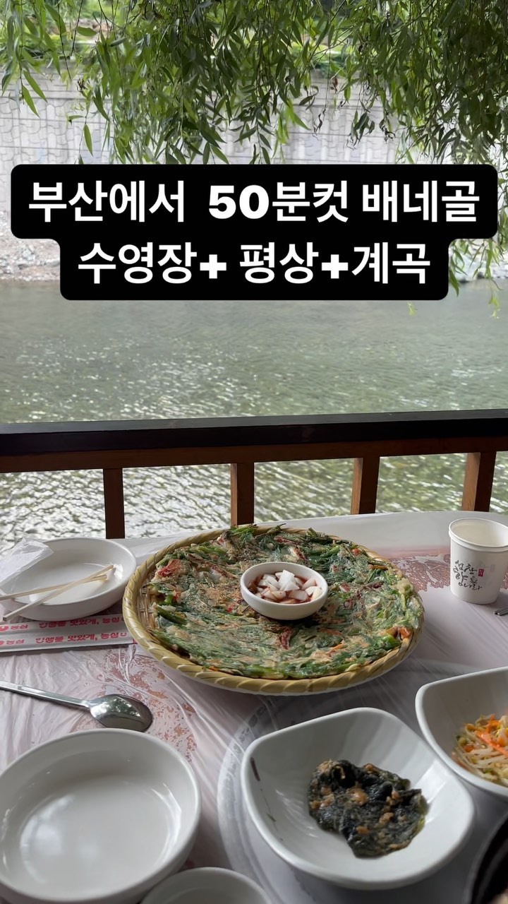 가까운곳 하면 부산 경남 배네골
여긴 왜이리 또가고싶은곳인지ㅠㅠ
여름휴가는 계곡이었다.. 아이들놀기좋은 수심따로 되어있는
수영장까지 힐링힐링 💚🏊🏻‍♂️

#양산배네골 #울주배네골 #배네골강마을
#부산근교계곡 #강추해요강추 #한달에네번감