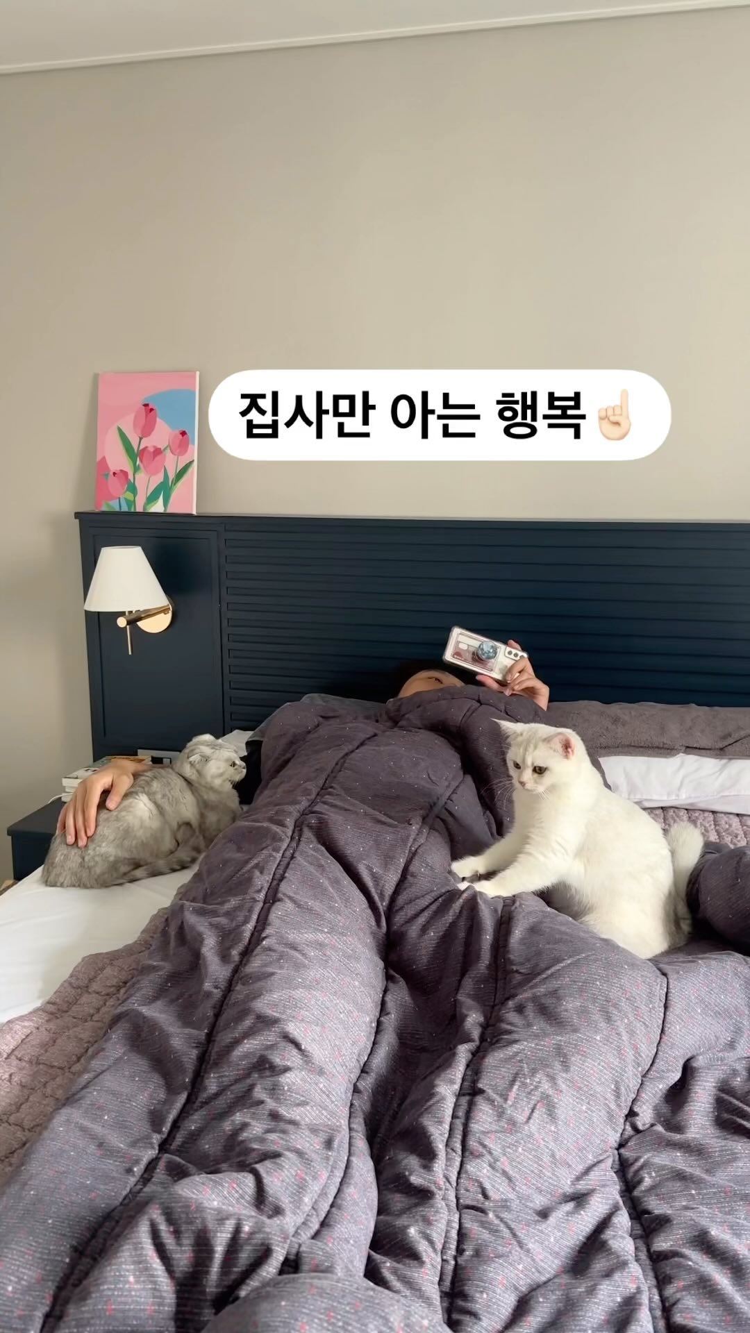 츄르 지참시 1회체험 가능권 드립니다
📍경기도 수원시 어쩌구 저쩌구 우리집
.
.
.
.
.
.
.
.
___
#신혼일상 #신혼부부 #고양이일상 #귀여운짤 #고양이짤 #유머동영상 #킬링타임 #웃긴동영상 #주말일상 #야옹스타그램 #냥스타그램 #신혼부부일상 #catlife #catlover #kittycat #猫動画　#可愛い猫 #子猫