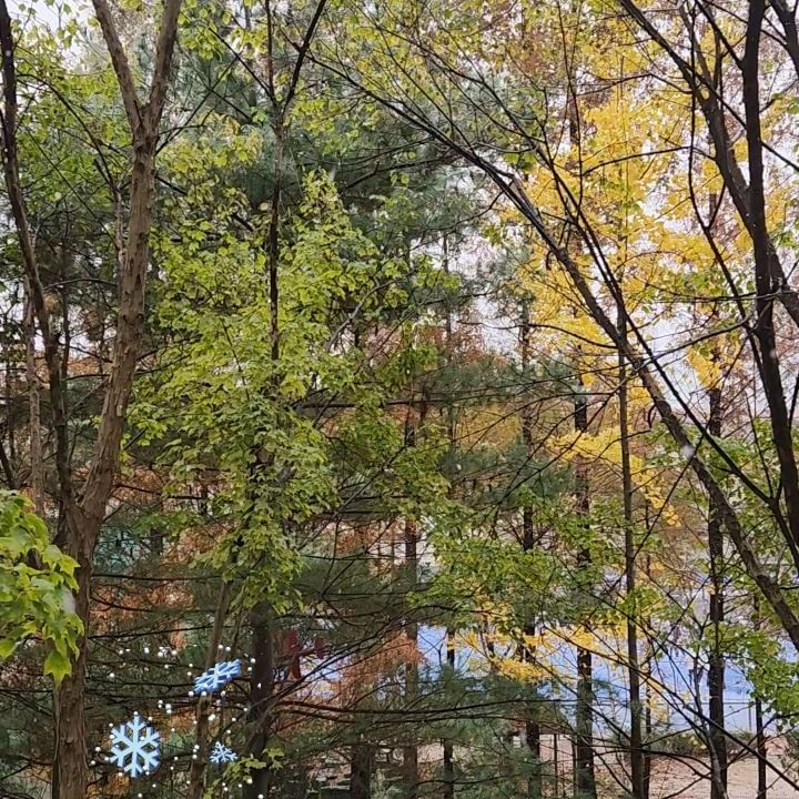 🤍첫눈온다요😲🤍
.
.
#첫눈 #❄