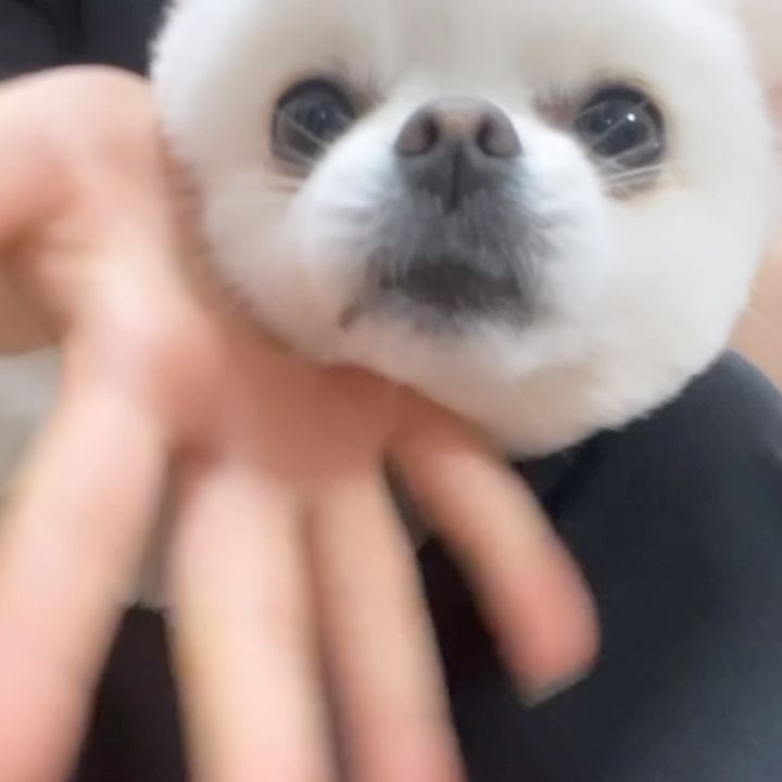 언니가미안