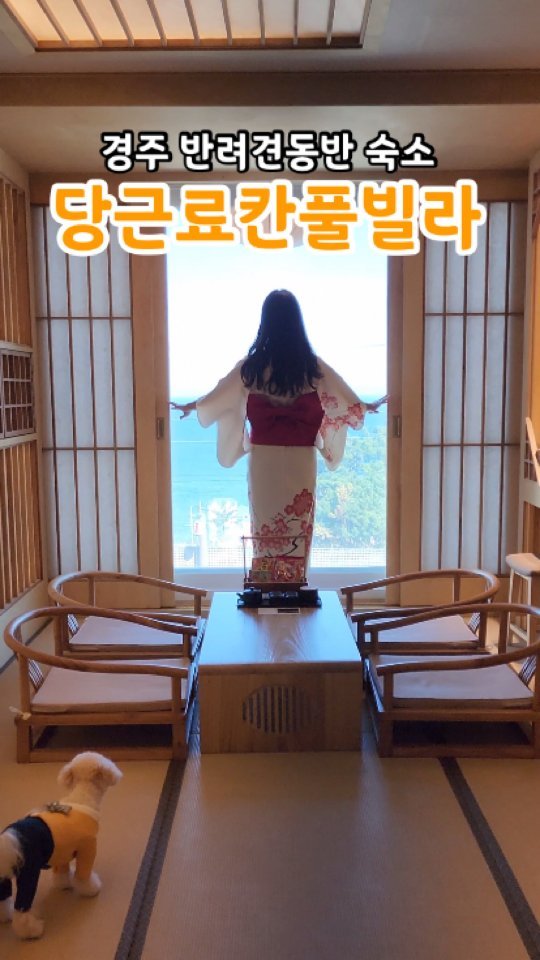 비행기 안 타고도 일본여행을 할 수 있다고?
일본 료칸을 완벽히 즐길 수 있는 이곳!
몽이가 다녀왔다구🐶

경북 경주에 있는 당근료칸풀빌라야 
일본 료칸을 그대로 옮겨놓은 듯한 인테리어에 유카타, 나막신, 반려견유카타까지! 

퀄리티 좋은 조식과 석식도 나오고 스파에 불멍까지👍
다른 객실은 수영장도 있다구🌟

반려견이랑 같이 경주여행 떠나는 견주들!
꼭 방문해보라구:)

🏠 경주 당근료칸풀빌라
🚩 경북 경주시 감포읍 감포로 329-37
💰 1박 20만원 중반대부터~
🐶 반려동물 동반가능
🚗 주차 당연히 가능

@danggn_ryokan 

🏷 국내에서 일본여행이 가능한 이곳!
🏷 편백찜, 초밥, 전복죽에 치즈랍스타까지😛
🏷 실내든 실외든 인생샷 스팟 한가득📸

#반려견동반숙소
#몽이는몽글몽글
#경주반려견동반

#경주풀빌라#경주반려견동반숙소#경주숙소#반려견동반#전국여행#몽이#말티푸#애견동반숙소#경주애견동반#경주여행#풀빌라추천#일본#료칸#일본여행