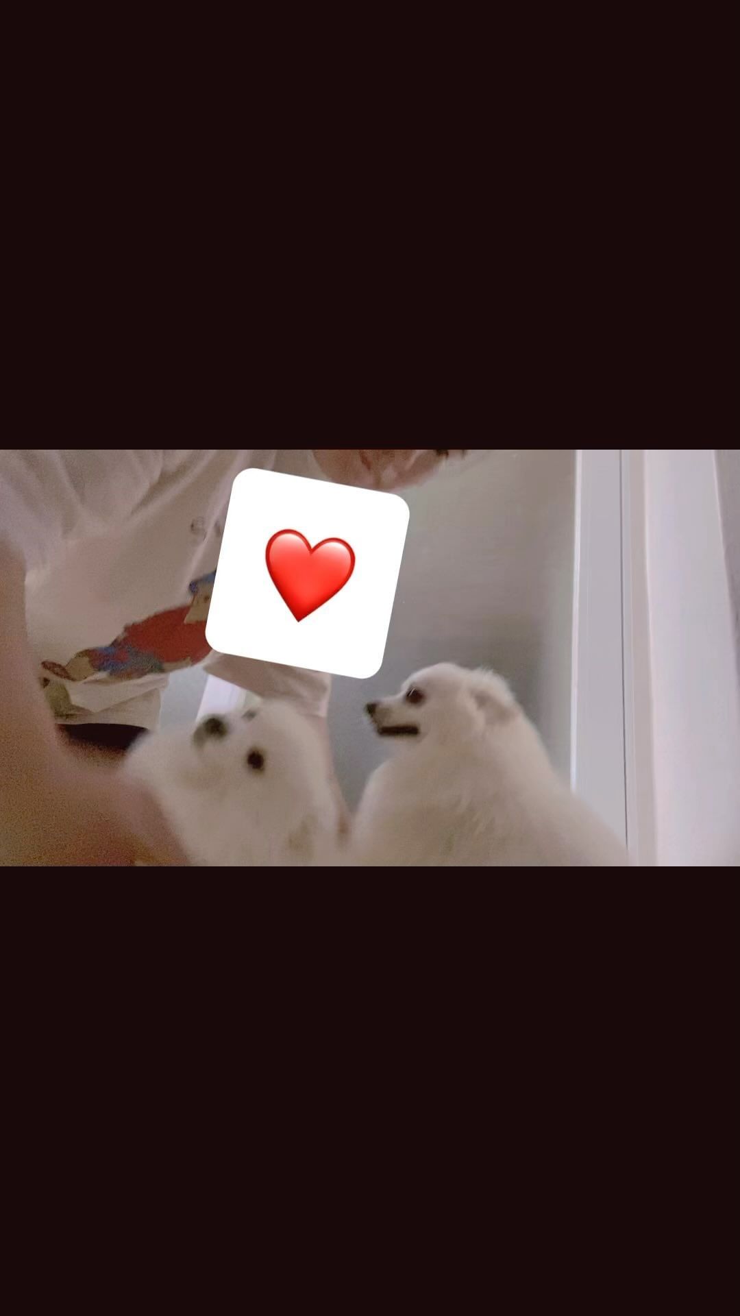 #퇴근 #퇴근후 #퇴근길 #컴백홈 #마중 #반가워 #사랑해 #loveyou #lovely #dog #dogstagram #kiss #doglife #댕댕이 #댕댕이그램 #댕스타그램 #댕댕이스타그램 #댕팔맞팔 #멍스타그램 #멍멍이 #멍팔맞팔 #멍멍이그램 #개스타그램 #일상 #데일리 #반려견그램 #반려동물 #반려견일상#likesforlike #instalike