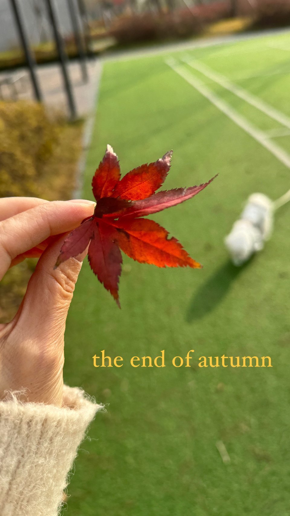 가을 끝자락 🍁🍂